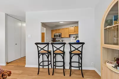 211 E Ohio Street #1115, Chicago, IL 60611 - Photo 8