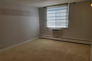 225 S Rohlwing Rd, Palatine, IL 60074 - Photo 12