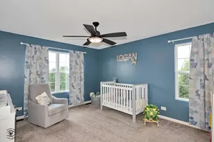 550 Spring Leaf Dr, Joliet, IL 60431 - Photo 20