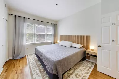 320 E 17th Street, Chicago, IL 60616 - Photo 18