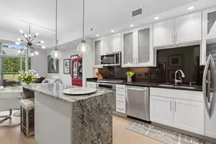 505 N McClurg Ct, Chicago, IL 60611 - Photo 6