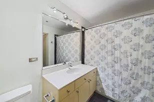 1720 S Michigan Ave, Chicago, IL 60616 - Photo 12