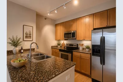 421 W Huron Street #907, Chicago, IL 60654 - Photo 4