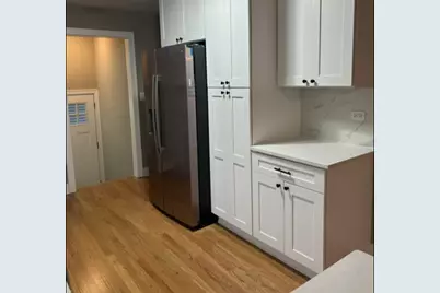 10030 S Fairfield Avenue, Chicago, IL 60655 - Photo 2