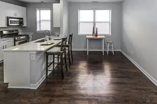 1153 W Washburne Ave, Chicago, IL 60608 - Photo 16