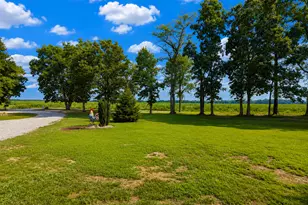 2325 County Road 975 E, Rinard, IL 62878 - Photo 48