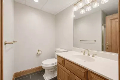 25W471 Plamondon Road, Wheaton, IL 60189 - Photo 46