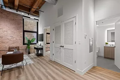 153 W Ohio Street #208, Chicago, IL 60654 - Photo 8