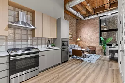 153 W Ohio Street #208, Chicago, IL 60654 - Photo 2
