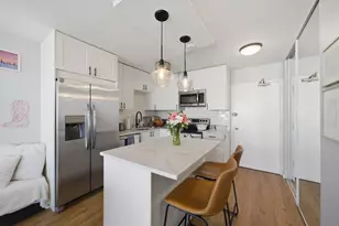 1360 N Sandburg Terrace, Chicago, IL 60610 - Photo 4