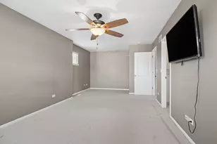 384 W Otto Dr, New Lenox, IL 60451 - Photo 14
