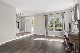 384 W Otto Dr, New Lenox, IL 60451 - Photo 4