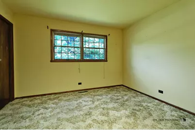 4 Trent Road, Hawthorn Woods, IL 60047 - Photo 10
