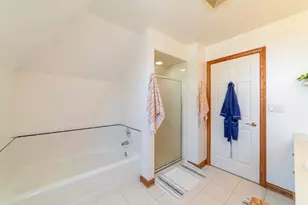 26618 S Winfield Rd, Monee, IL 60449 - Photo 68