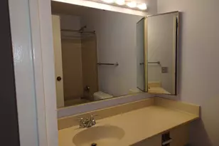 440 N McClurg Ct, Chicago, IL 60611 - Photo 12