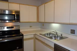 440 N McClurg Ct, Chicago, IL 60611 - Photo 8