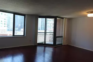 440 N McClurg Ct, Chicago, IL 60611 - Photo 4