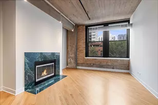 411 W Ontario St, Chicago, IL 60654 - Photo 4