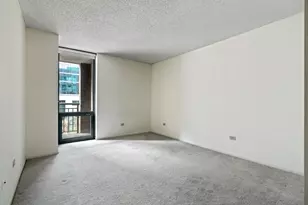 440 N McClurg Ct, Chicago, IL 60611 - Photo 10