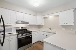 201 N President St, Wheaton, IL 60187 - Photo 10