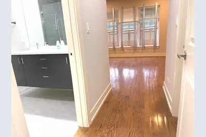 544 E 46th Place, Chicago, IL 60653 - Photo 10