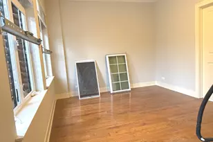 544 E 46th Pl, Chicago, IL 60653 - Photo 18