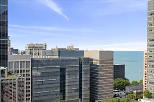 600 N Fairbanks Ct, Chicago, IL 60611 - Photo 2
