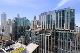600 N Fairbanks Ct, Chicago, IL 60611 - Photo 6