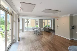25 E Superior St, Chicago, IL 60611 - Photo 42