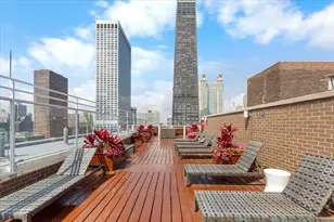 260 E Chestnut St, Chicago, IL 60611 - Photo 22