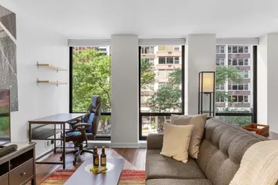 260 E Chestnut Street #303, Chicago, IL 60611 - Photo 6