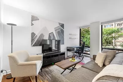 260 E Chestnut Street #303, Chicago, IL 60611 - Photo 4