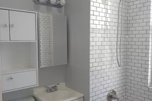 209 S Albany Ave, Chicago, IL 60612 - Photo 10