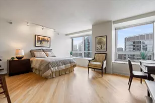 512 N McClurg Ct, Chicago, IL 60611 - Photo 10