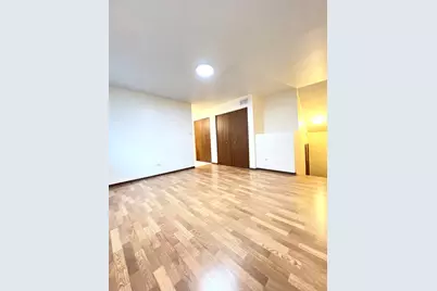 615 W 25th Place, Chicago, IL 60616 - Photo 16