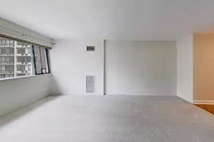 1415 N Dearborn St, Chicago, IL 60610 - Photo 24