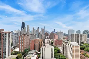 1415 N Dearborn St, Chicago, IL 60610 - Photo 44