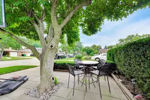 544 Park Plaine Ave, Park Ridge, IL 60068 - Photo 30