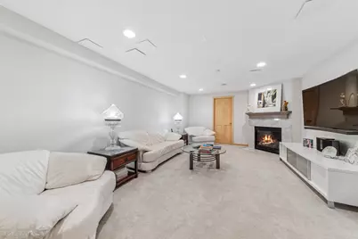 304 Apple River Drive, Naperville, IL 60565 - Photo 26