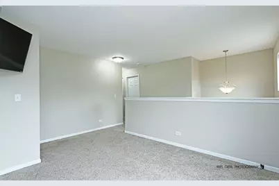 352 N Cornerstone Drive, Volo, IL 60020 - Photo 10