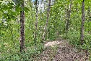 2796 US Hwy 51 Hwy, Clifton, IL 61727 - Photo 68