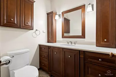 231 Southwick Lane, Schaumburg, IL 60173 - Photo 22