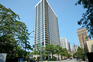 88 W Schiller St, Chicago, IL 60610 - Photo 1