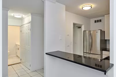 88 W Schiller Street #3007, Chicago, IL 60610 - Photo 10