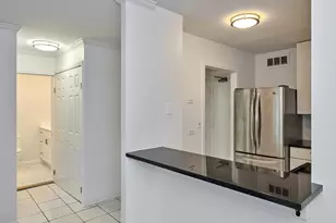 88 W Schiller St, Chicago, IL 60610 - Photo 10