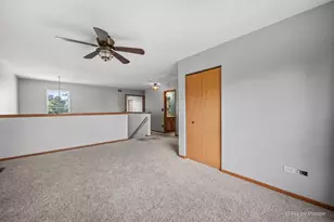 5613 W Von Ave, Monee, IL 60449 - Photo 16