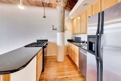 2310 S Canal Street #217, Chicago, IL 60616 - Photo 10