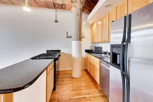2310 S Canal St, Chicago, IL 60616 - Photo 10