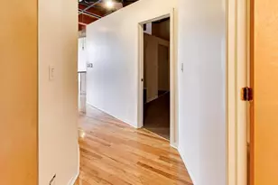 2310 S Canal St, Chicago, IL 60616 - Photo 4
