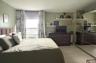 1355 N Sandburg Terrace, Chicago, IL 60610 - Photo 8